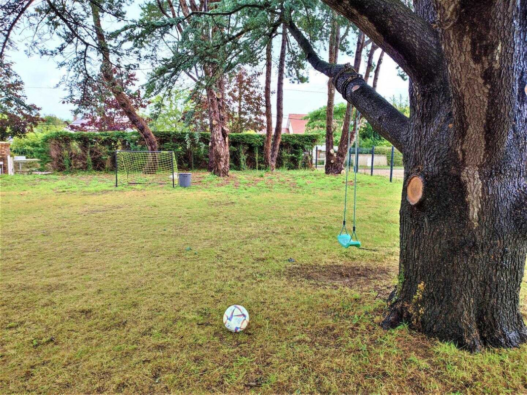 Garden trees